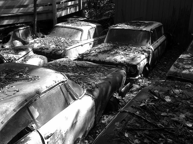 Autofriedhof - 038.JPG - Historischer Autofriedhof,    Gürbetal (CH)
